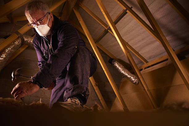 Best DIY Insulation Kits and Guidance in Kingsville, MD