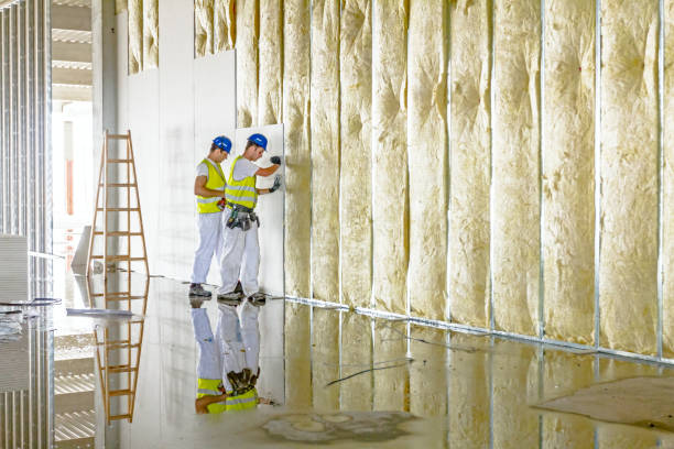 Best Specialized Insulation Services in Kingsville, MD